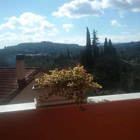 Olive Luxouri Apartment Gazatika