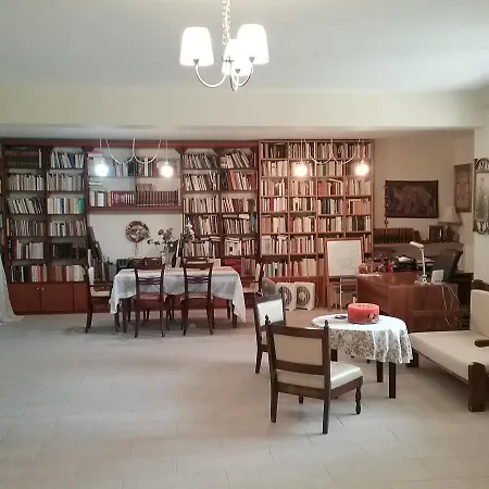 Olive Luxouri Gazatika