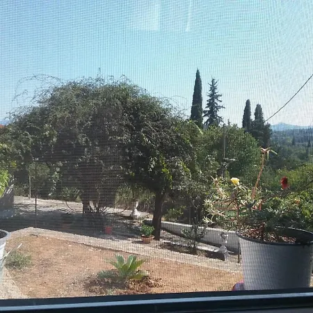 Apartment Olive Luxouri Gazatika