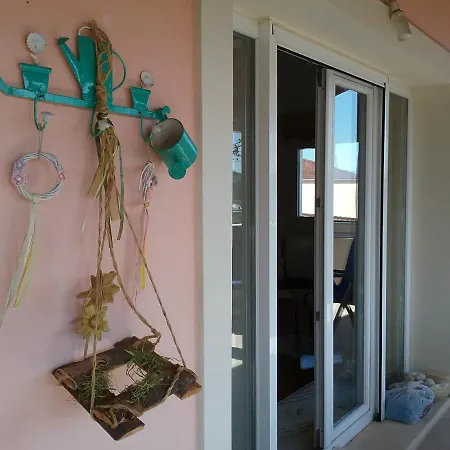 Olive Luxouri Gazatika