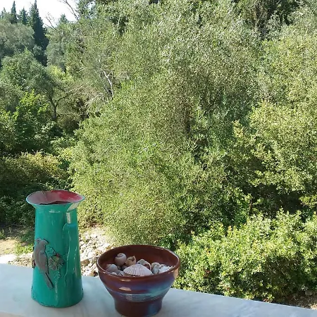 Olive Luxouri * Gazatika