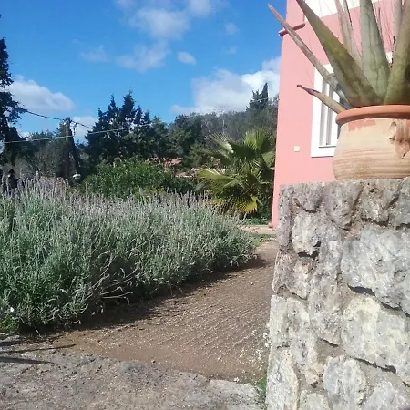 Olive Luxouri Apartment Gazatika