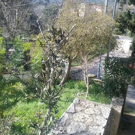 Apartment Olive Luxouri
