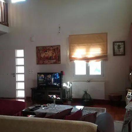 Olive Luxouri Gazatika