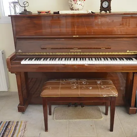 Apartment Olive Luxouri