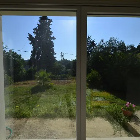 Olive Luxouri Gazatika