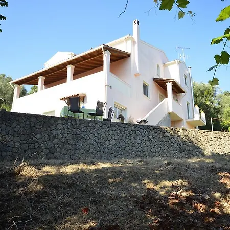 Olive Luxouri Gazatika