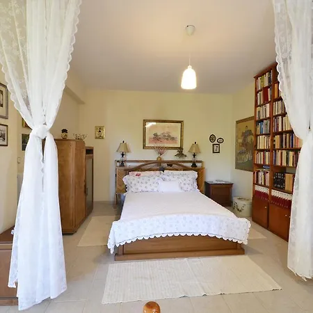 Apartment Olive Luxouri Gazatika